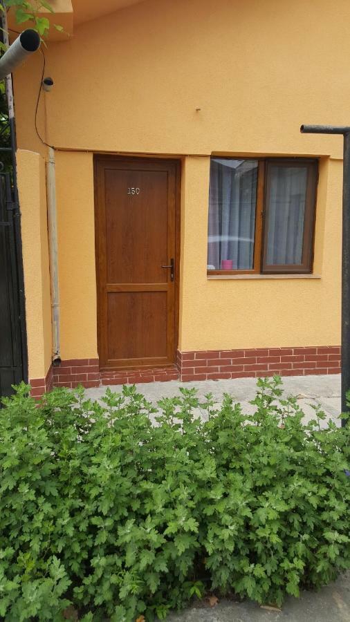 Strada Banu Mihalcea Nr. 150 Villa Konstanca Kültér fotó
